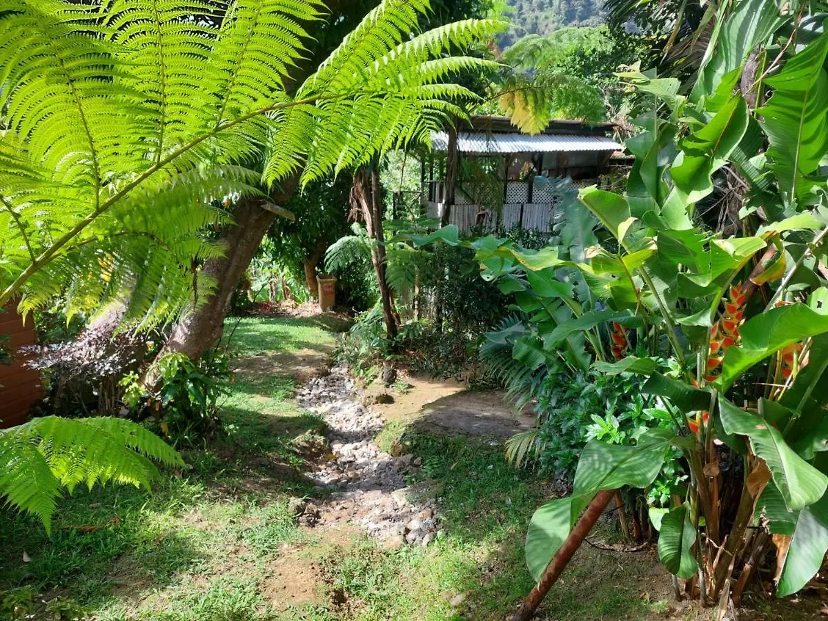 Le Petit Paradis Roseau Séjour à la campagne