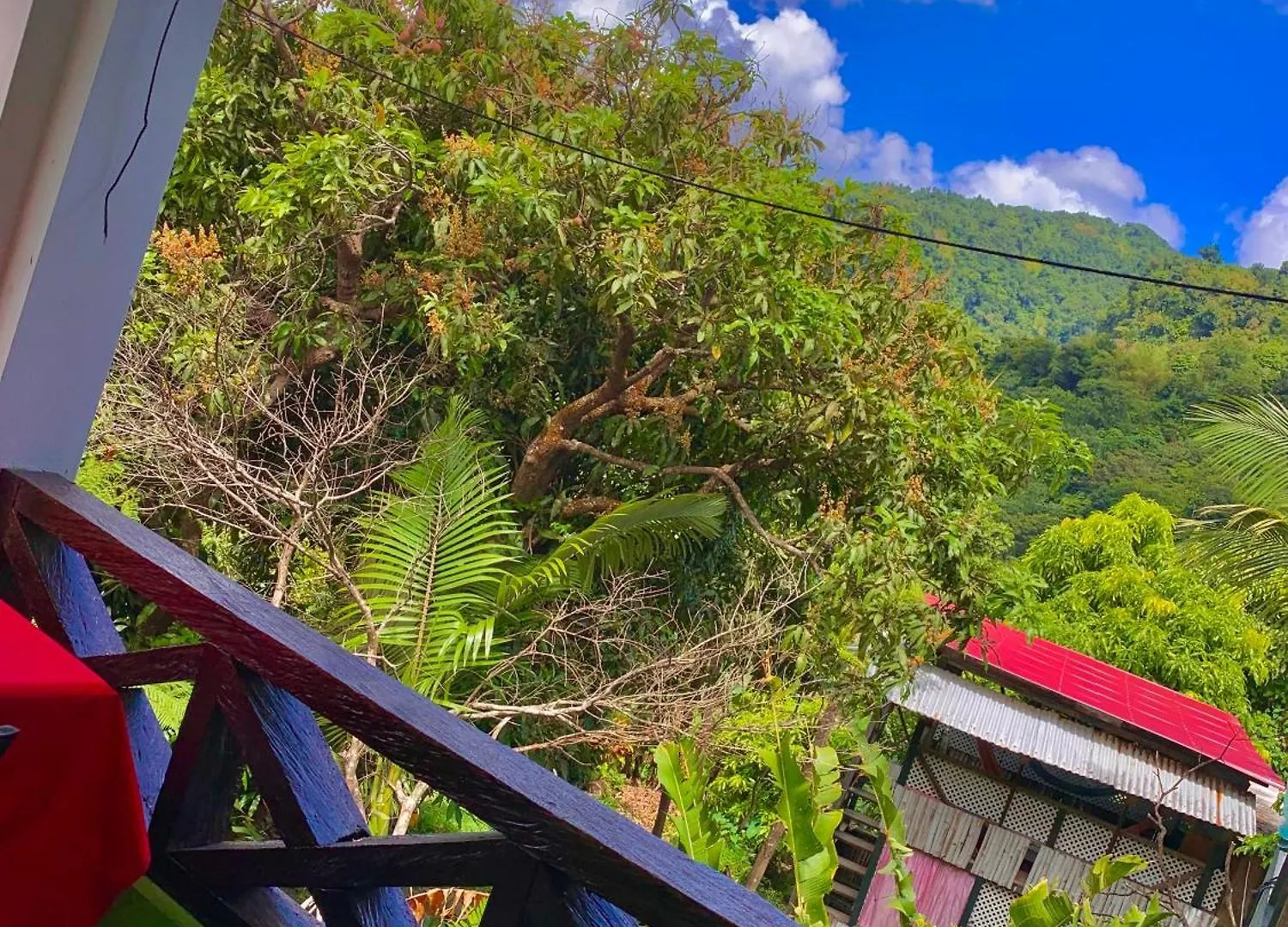 Le Petit Paradis Roseau
